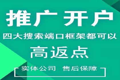 电商SEM推广案例解析